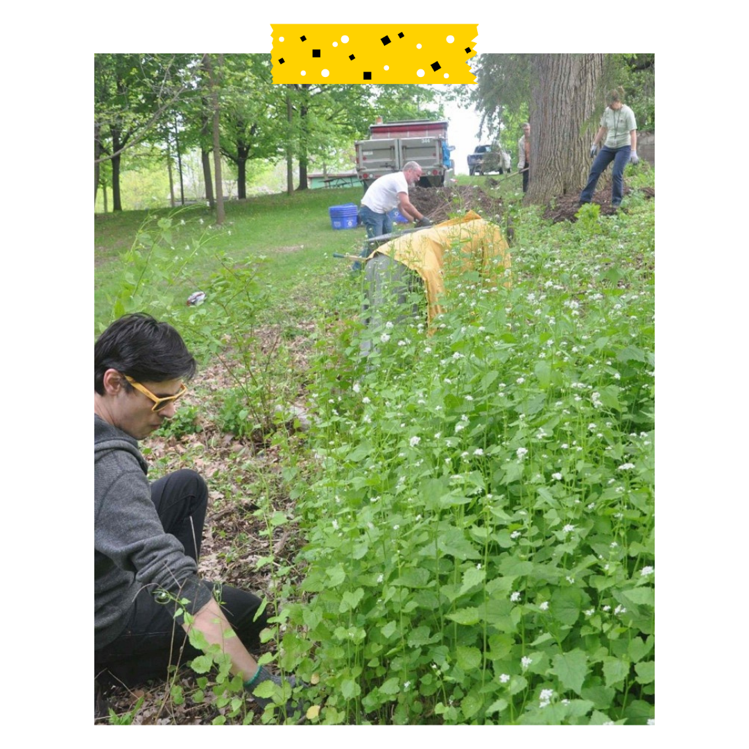 People outside around plants in a forest.
