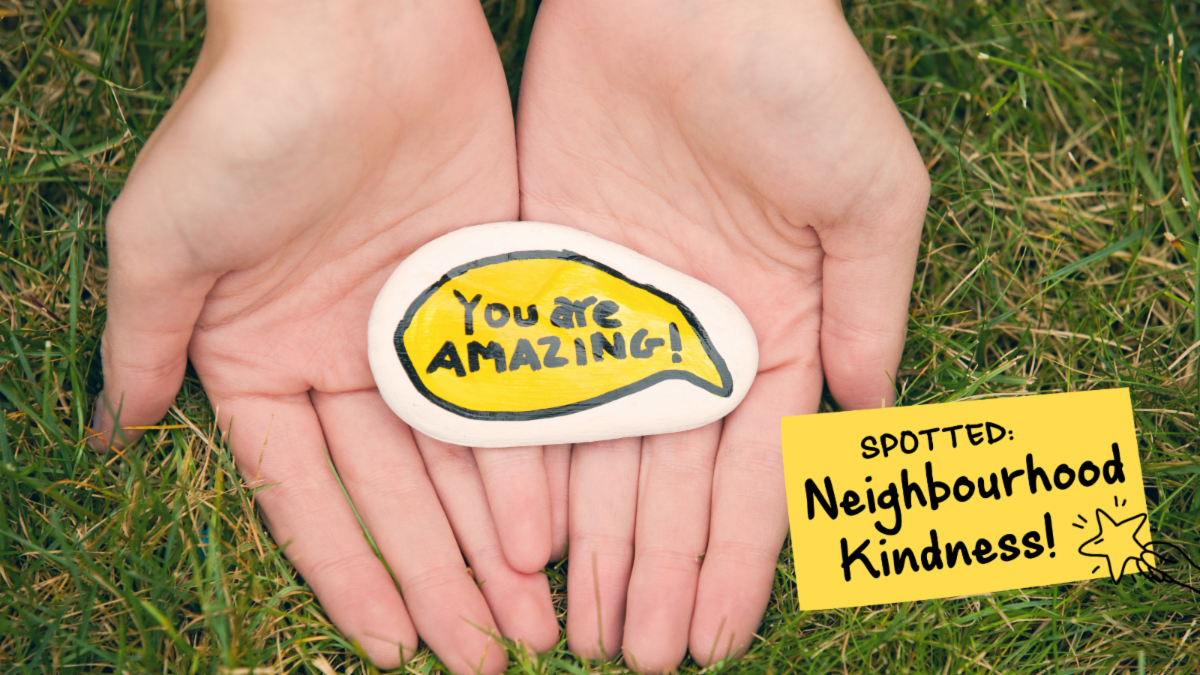 Hands with a rock that reads you are amazing! Spotted neighbourhood kindness.