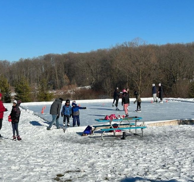 Groups of people in park during winter with an outdoor skating rink