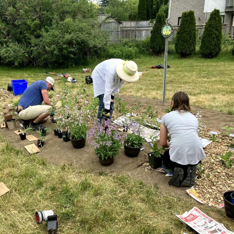 People crouching over an outdoor pollinator patch