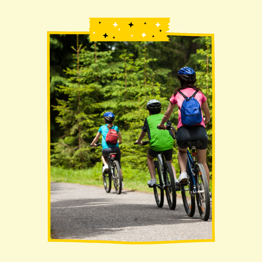 3 people riding bikes through a trail, phtographed from behind