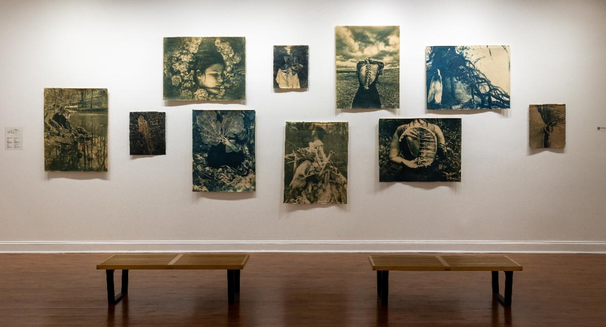 Jaime Aelavanthara's photo exhibit of 6-8 photos on a gallery wall