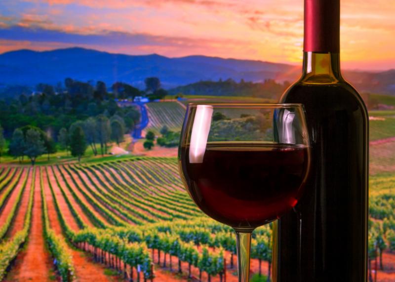 wine_fields.jpg