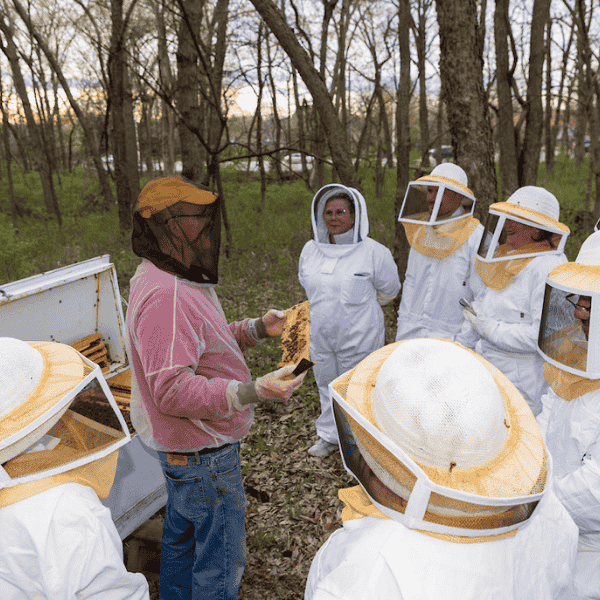 Everyone's Buzzing About Beekeeping!