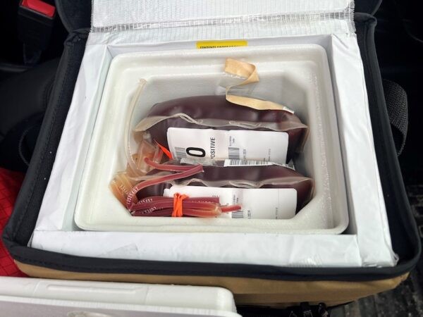 Blood Bags in Ice Cooler