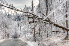 Business newsletter - funding and programs.png