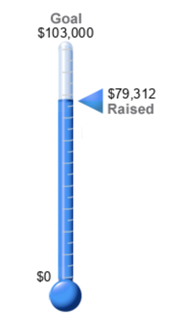 Fundraising Thermometer