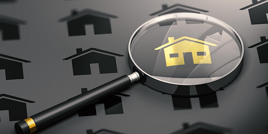 113516b0-9ed8-4fd3-894a-85424da912eb image