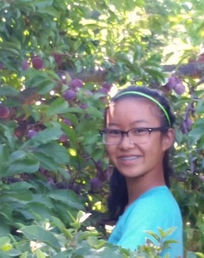 Young volunteer surronded by plums