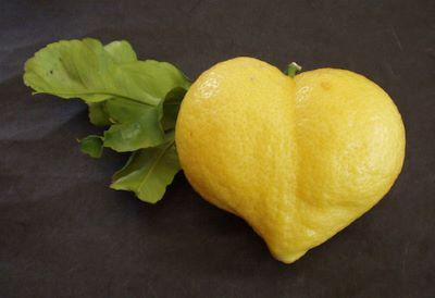 A heart-shaped lemon