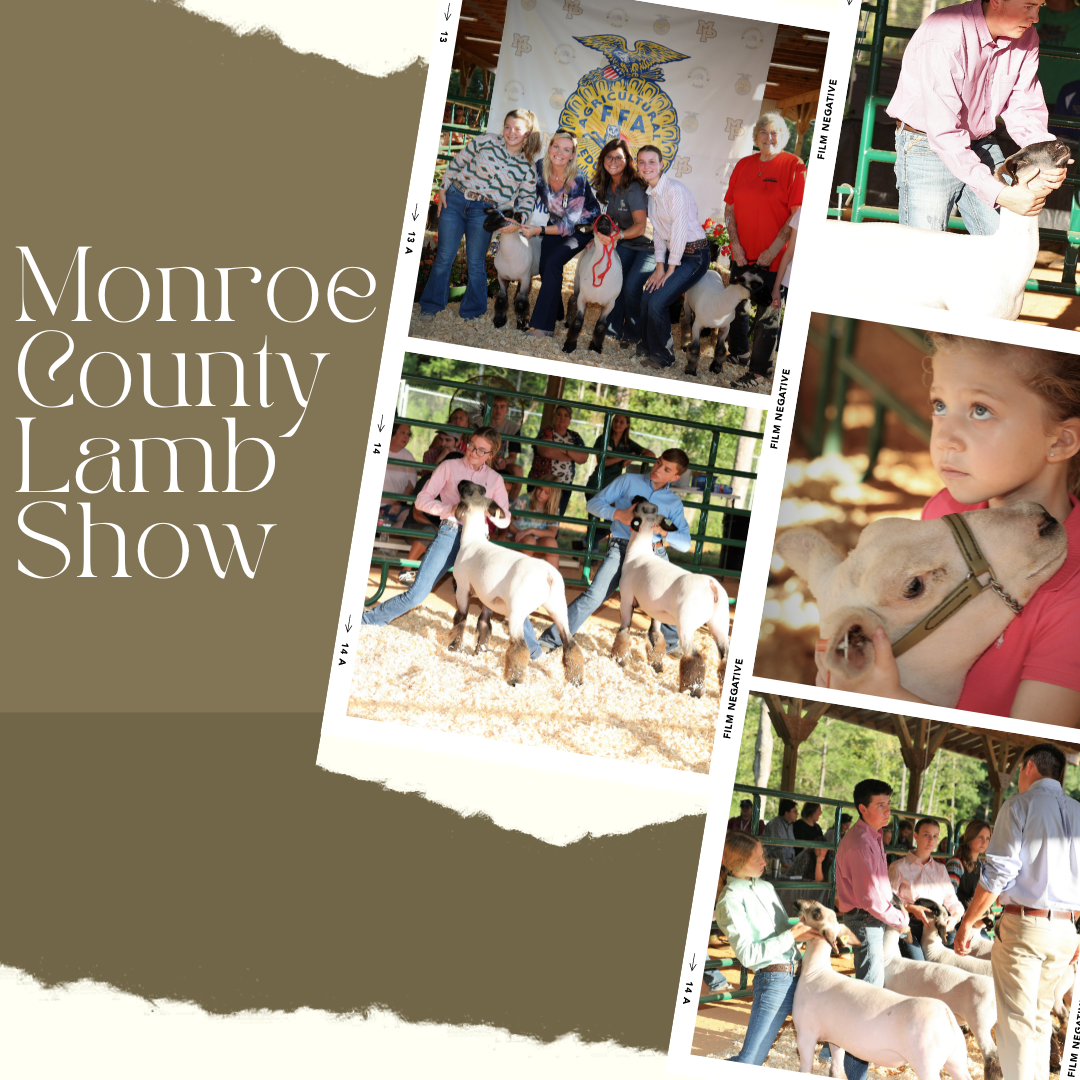 Monroe county Lamb Show and pics