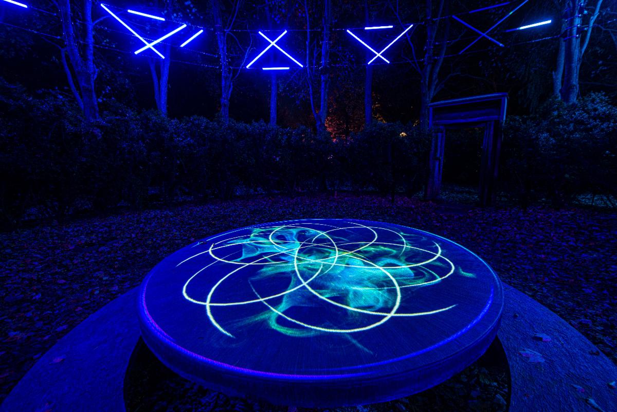 Night Forms at Grounds for Sculpture