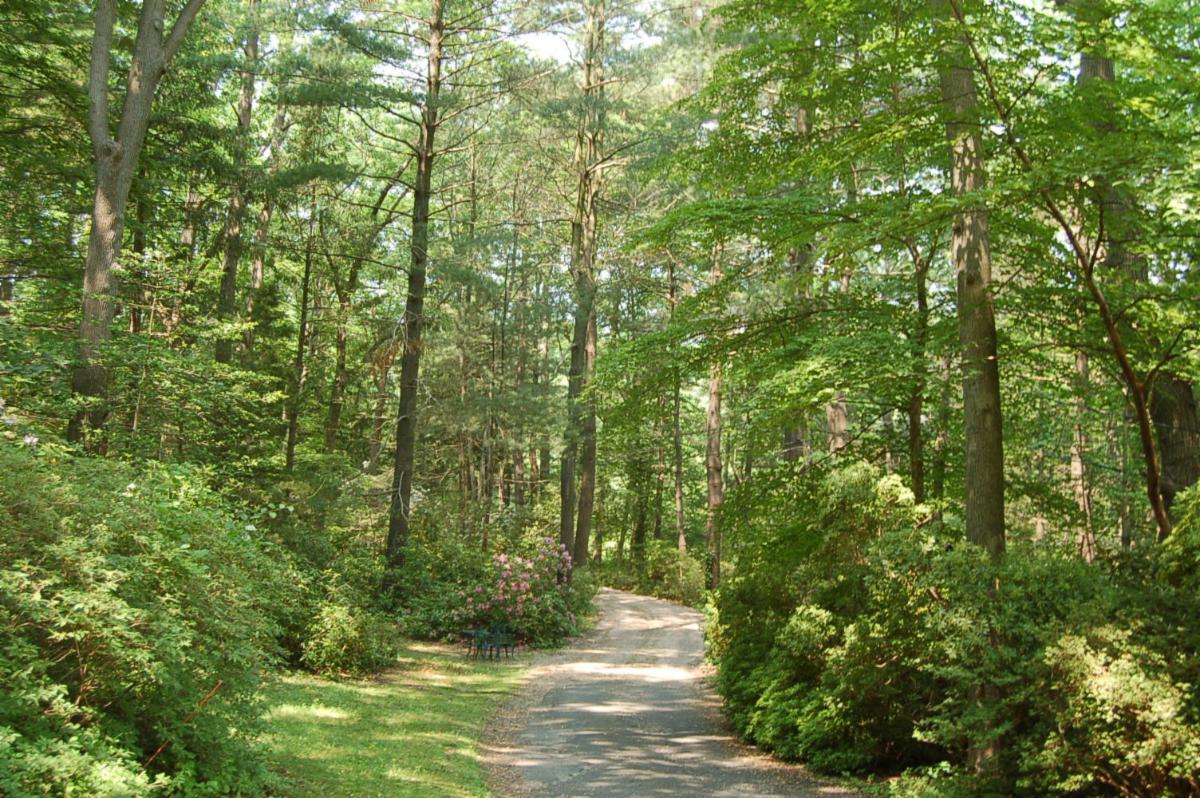 Photo scudder preserve wooded area
