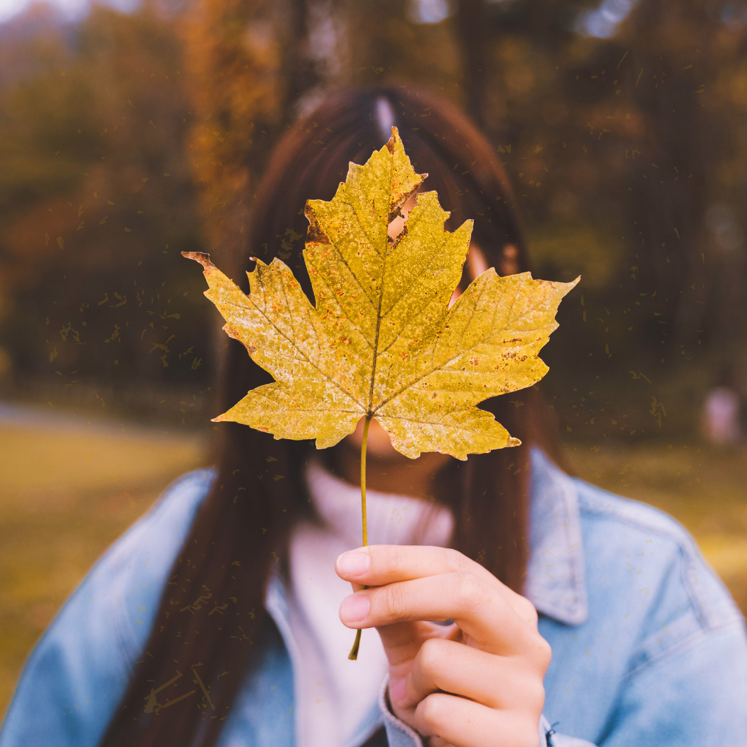 Here comes Fall!