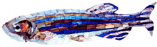 Mosaic Zebrafish by Michael Barresi