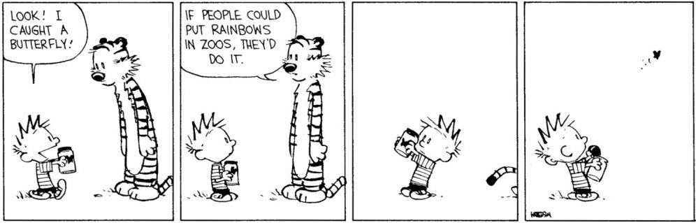 Calvin & Hobbes Comic