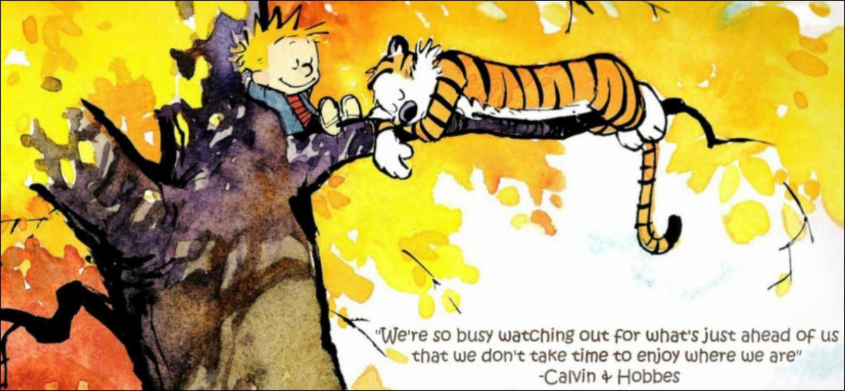 calvin & hobbes