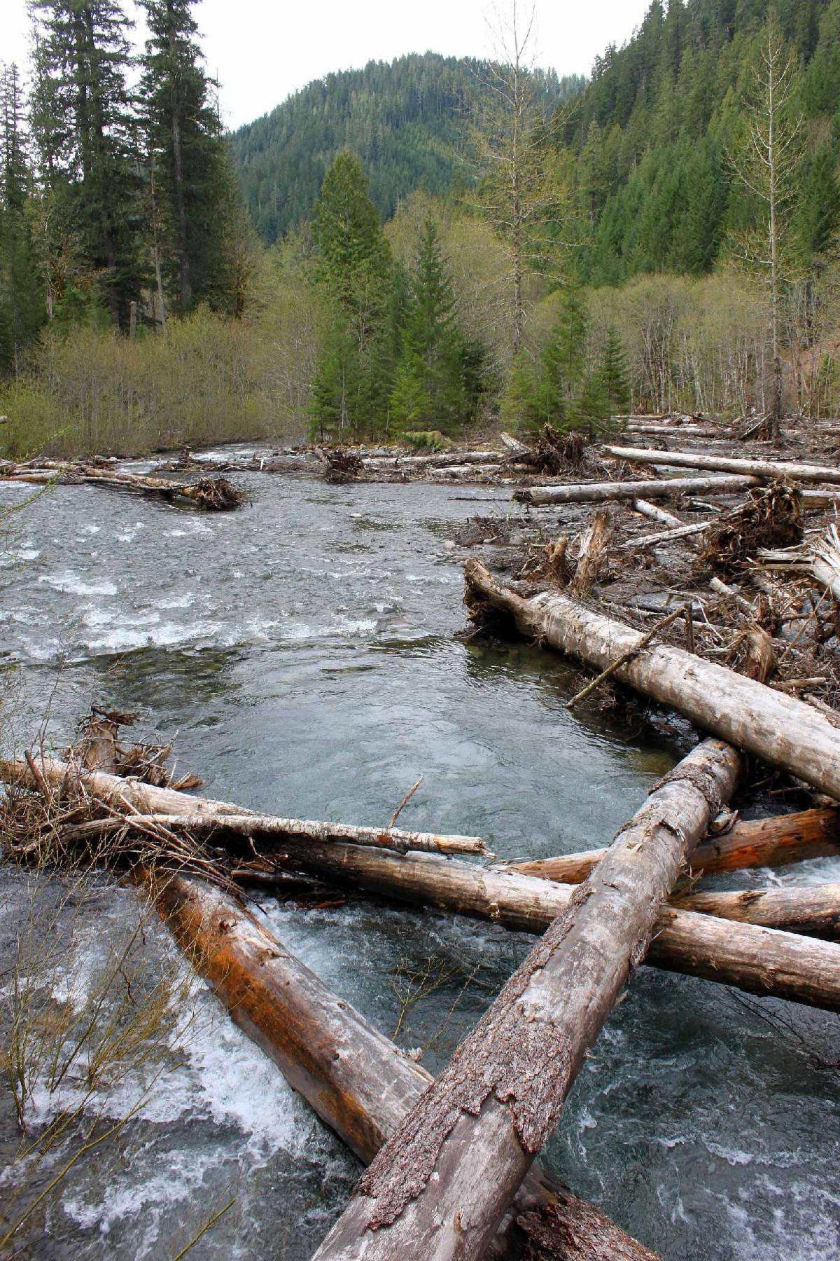 Post Restoration at DeerCreek Tour_May2_2017