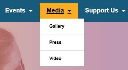 A close up of the Media tab on the website. The submenu items shown are gallery press and video.