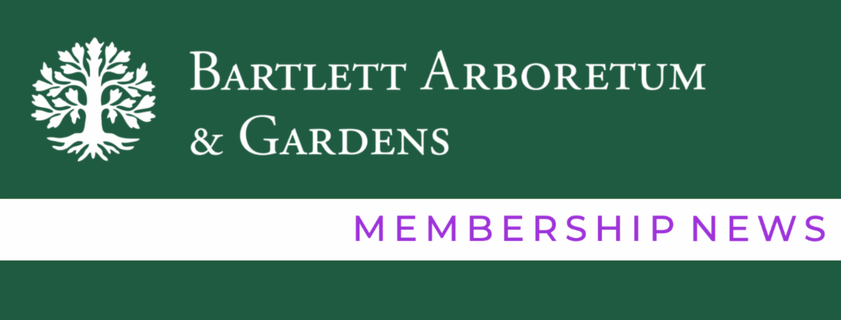 members email header.png