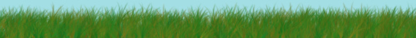 grass-banner2.jpg