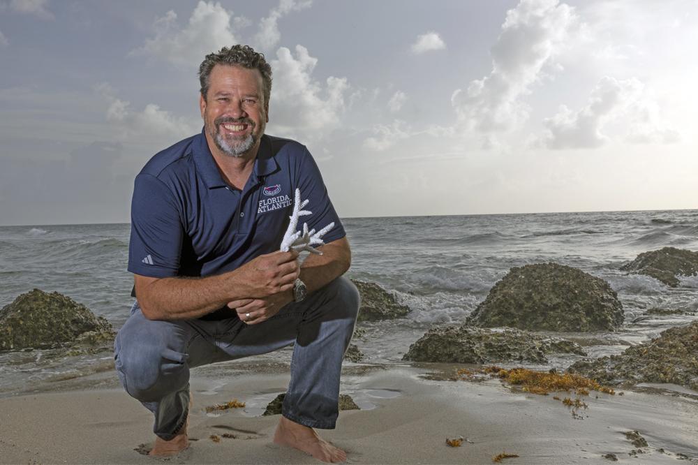 Steve Vollmer