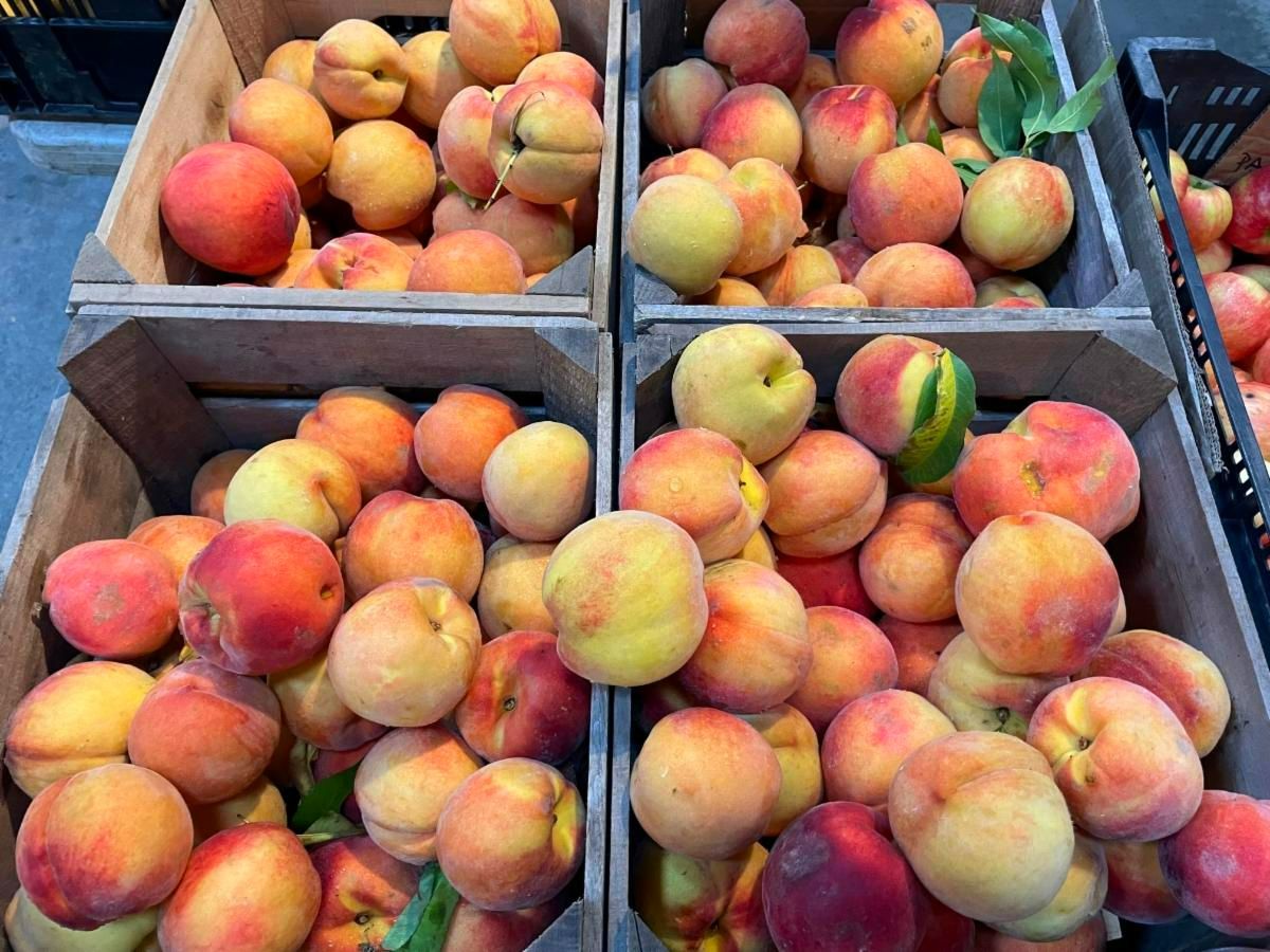 Labor Day Weekend at the Cooperstown Farmers' Market