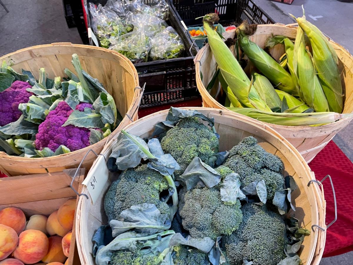 Labor Day Weekend at the Cooperstown Farmers' Market
