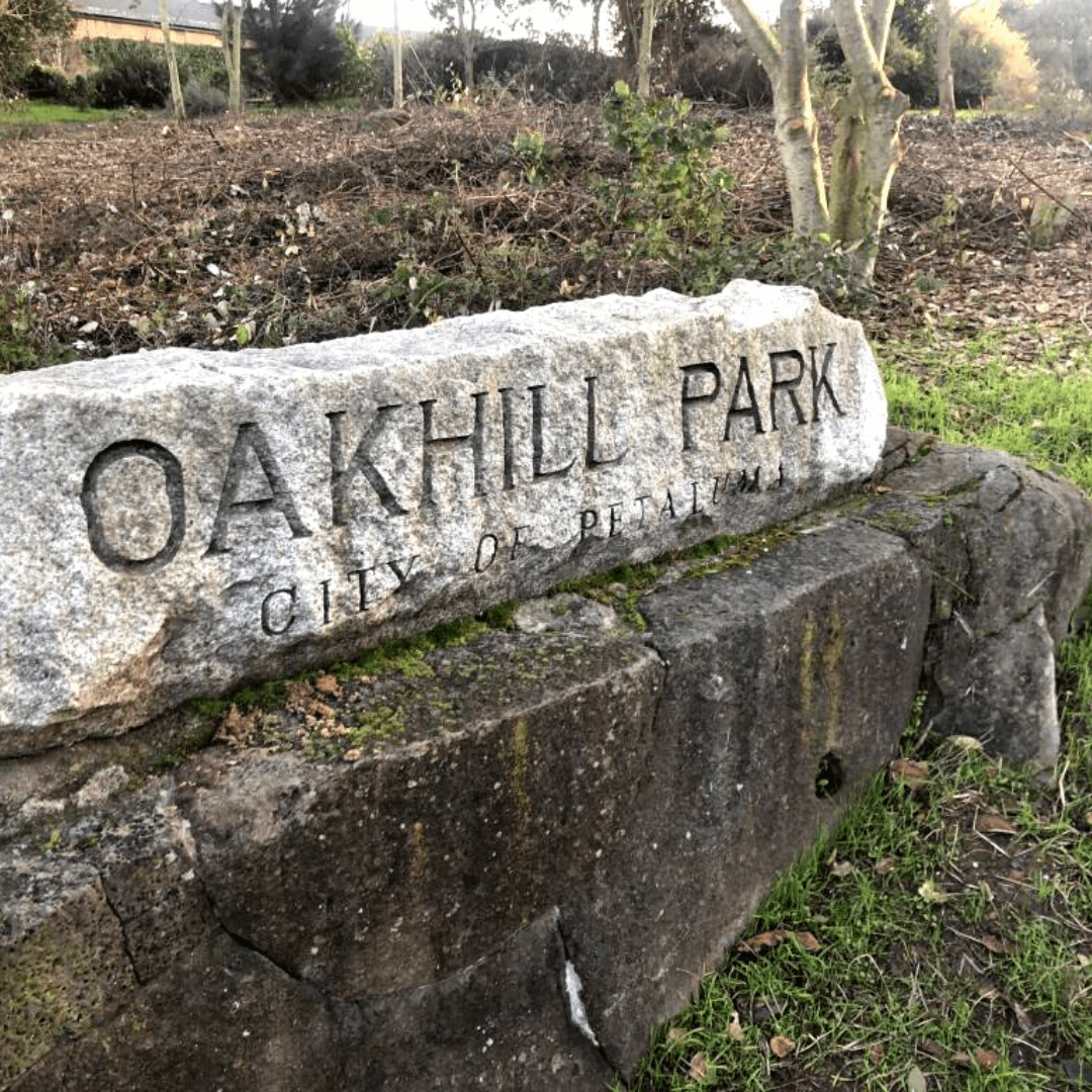 Community Update for May 26 Boletín Informativo Comunitario