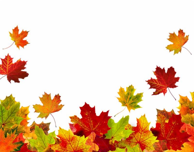 header_autumn_leaves.jpg