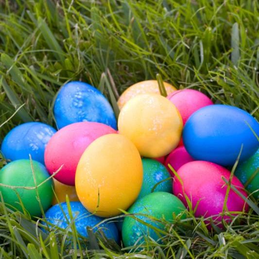 eggs_on_grass.jpg