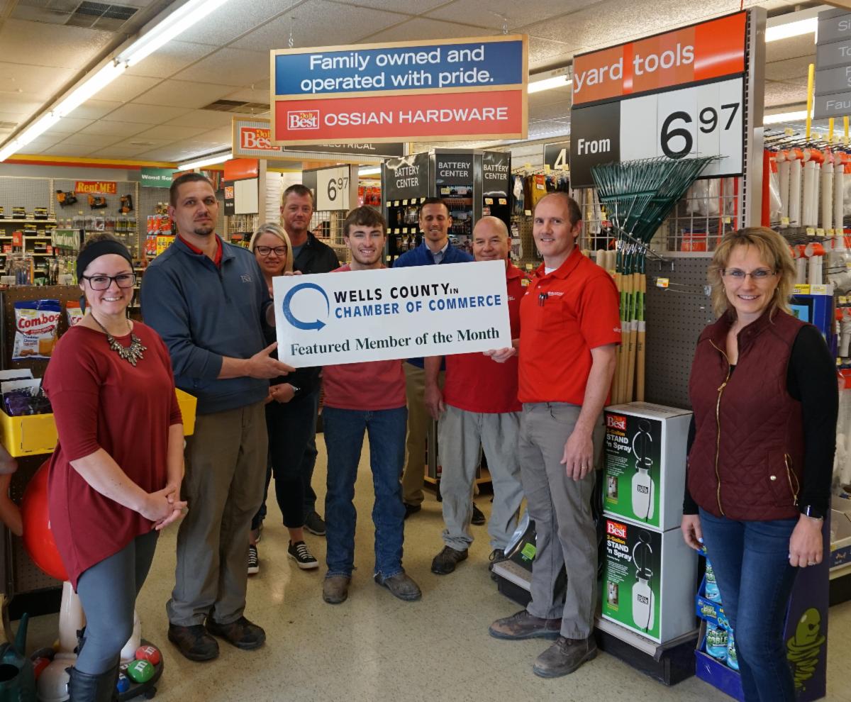 Back in Action...Fast & Furious