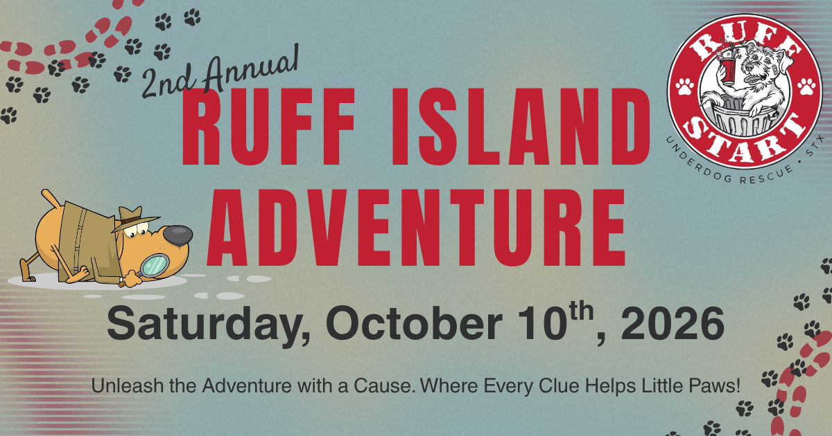 Ruff Island Adventure