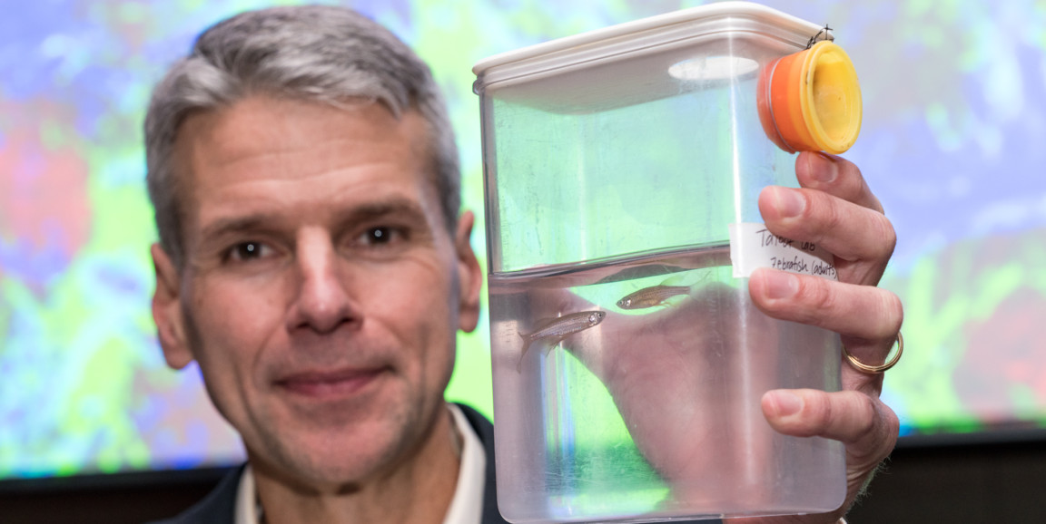 Will Talbot holds up a container with a zebrafish used for his research