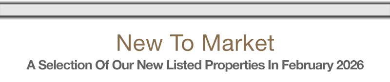 Suburban Boca Raton Office