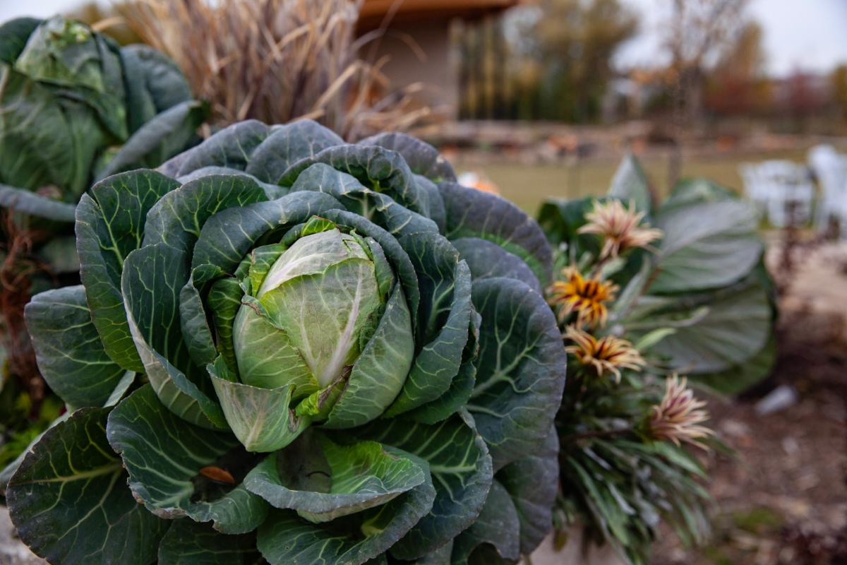 Event Updates from the Gardens on Spring Creek