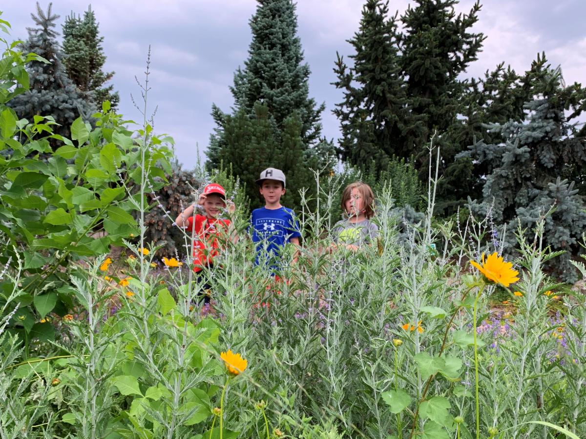 three children in a native garden