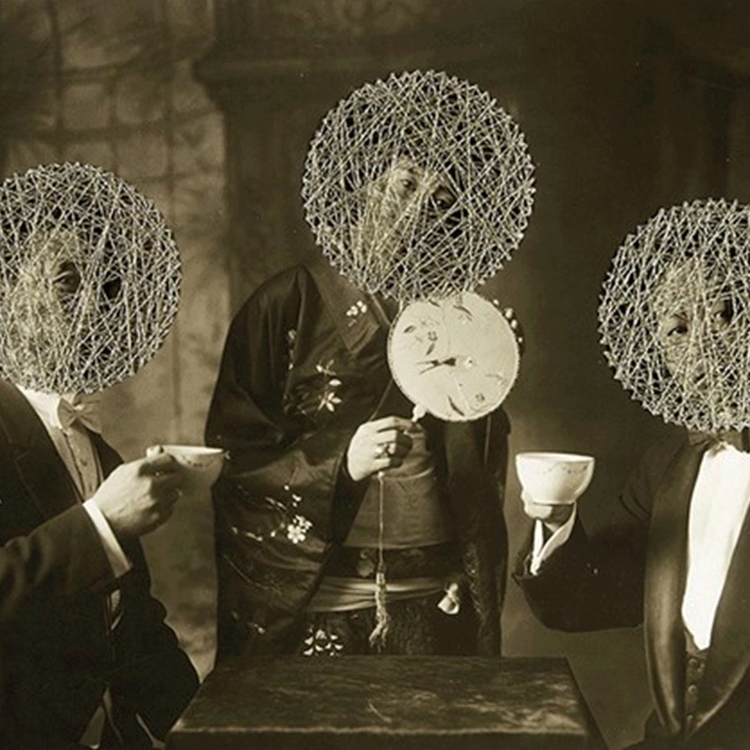 Altered States Photography Transformed