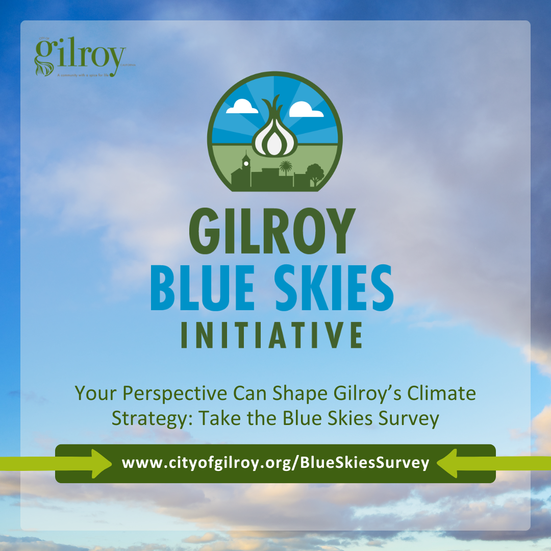 Blue sky with clouds, the blue skies logo, and the link to the survey 