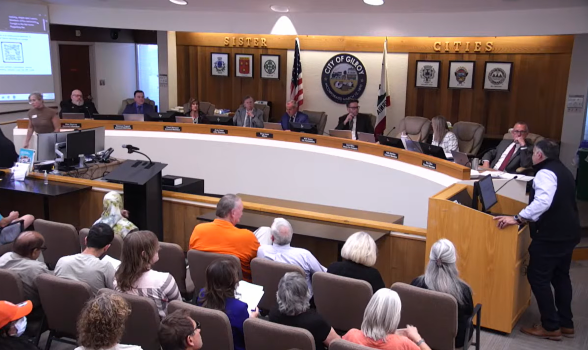 Planning Manager Michael Fossati presenting at Council Meeting
