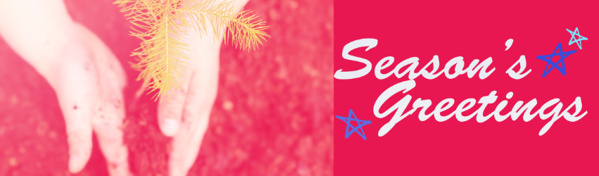 image hands planting a fir tree seedling with a red background Season's Greetings
