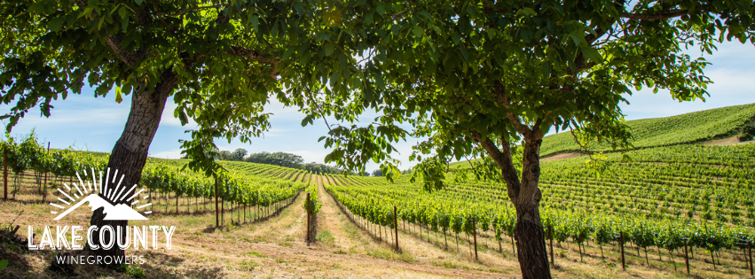 Vineyard with tree and LCWC logo