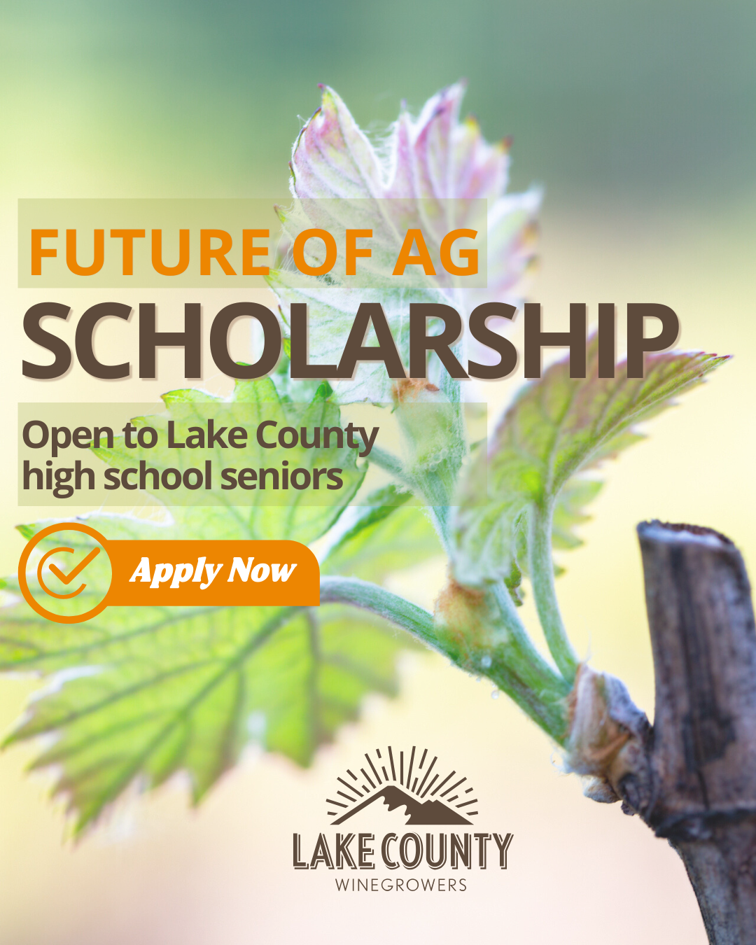 Future of Ag Scholarship