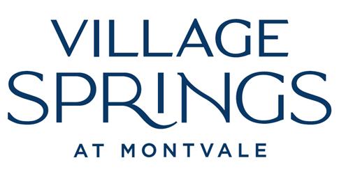 Village Springs Logo
