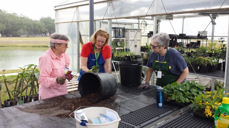 master gardener volunteers at work