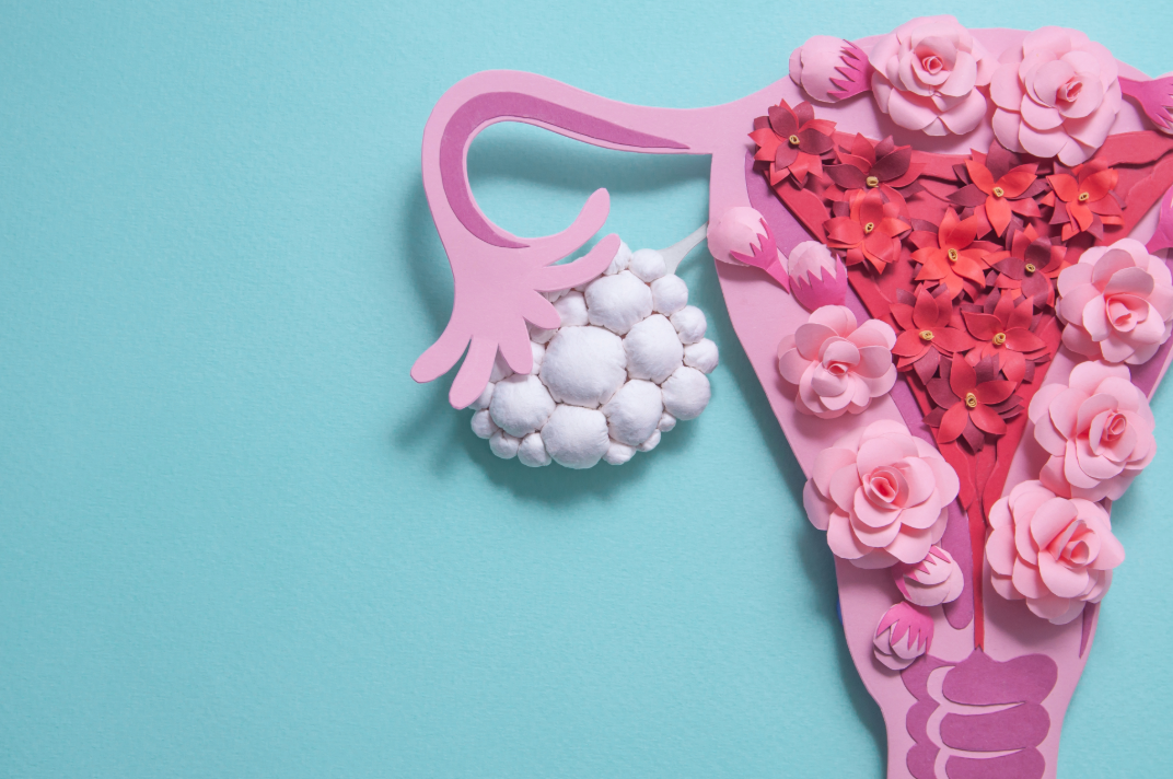 Paper-cut illustration of the uterus and ovaries adorned with pink flowers on a blue background, representing women's reproductive health awareness.
