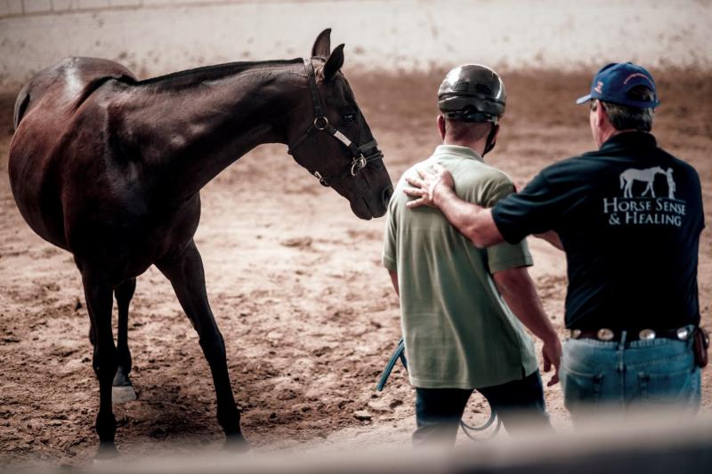 Will a horse protect its human?