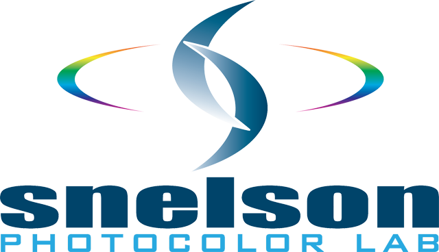 Snelson logo