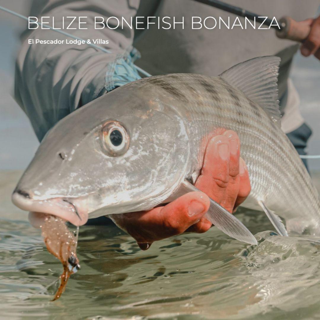Belize Bonefish Bonanza October 10-14th 2026