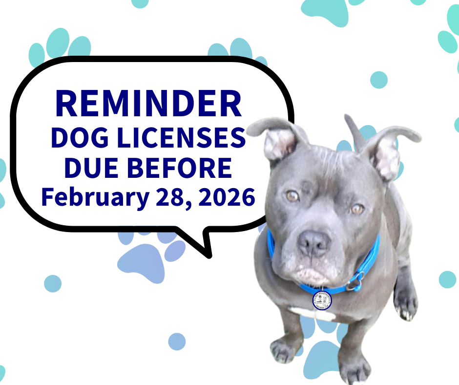 Reminder dog licenses due before February 28